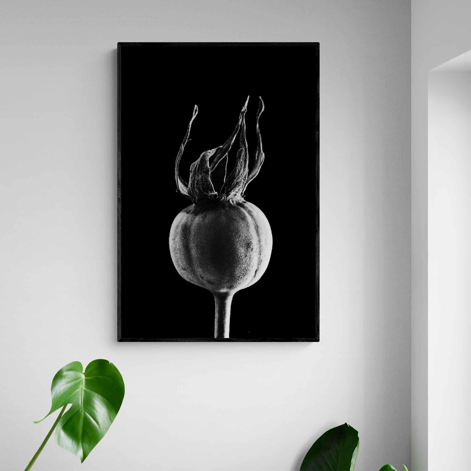 Akustik billede Hyben 80x120 cm, Sort